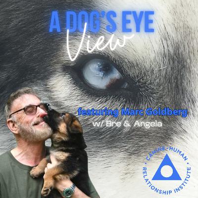 EPISODE 9. Relax & Listen to The Dog w/ Marc Goldberg