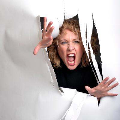 Episode 449: Jan Ravens