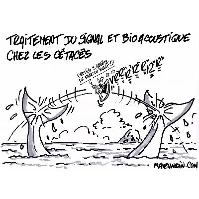 Épisode 4 : Les Océans Épisode 4 : Les Océans