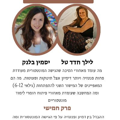 מה בין פנטזיה ודמיון על פי הגישה המונטסורית ומה מייחד את חומרי הלימוד של הגישה?