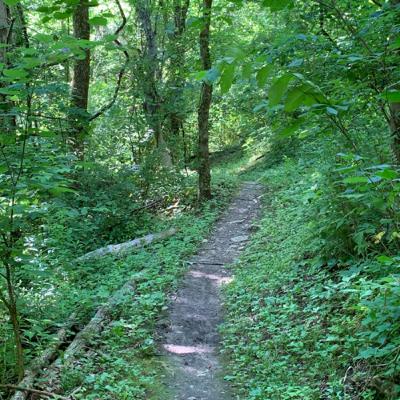 Episode 1: Where was I?