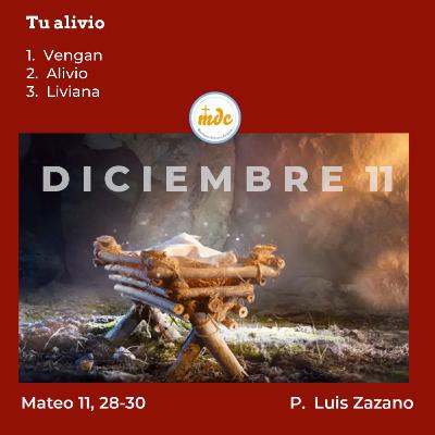 Mateo 11, 28-30