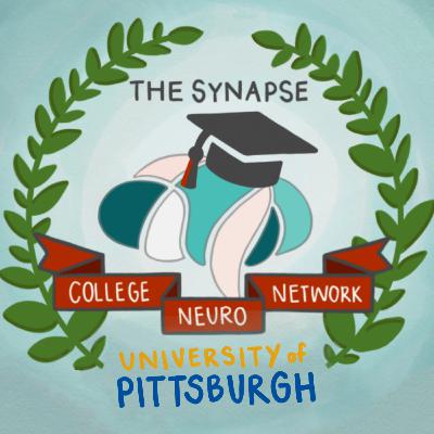 The College Neuro Network: University of Pittsburgh from a Professor of Neuroscience