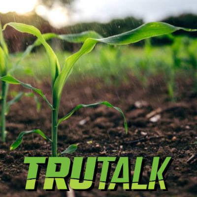 Crop Talk - Post-Plant Agronomic Update
