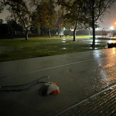 Dec 23 Epilogue in a Rainstorm Dec 23 Epilogue in a Rainstorm