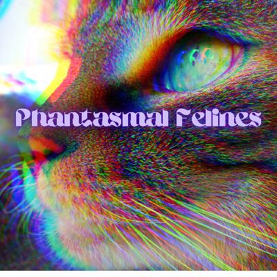 Celebrating Sacred Animals: Phantasmal Felines