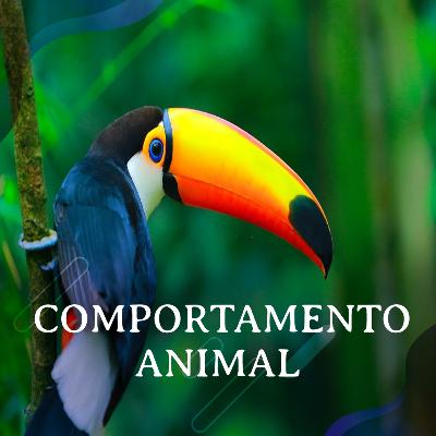 O que é comportamento animal? - Com Rodrigo Hirata Willemart O que é comportamento animal? - Com Rodrigo Hirata Willemart