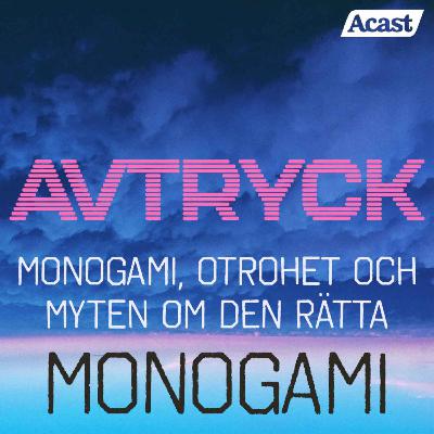 Monogami, otrohet och myten om Den Rätta