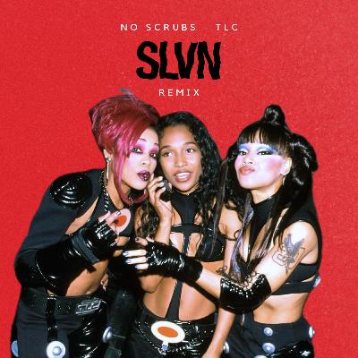 TLC - NO SCRUBS (SLVN REMIX)