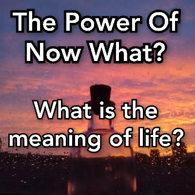 The Power Of Now What? Overcoming Awakening Problems Ep. 19 - What Is The Meaning Of Life?