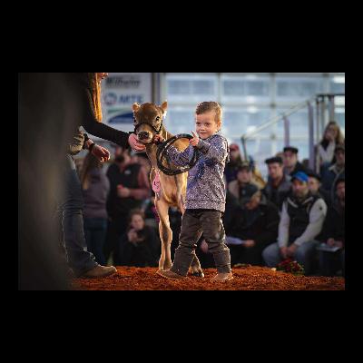 E505 Calves for a Cause $170,000 and Counting: How One Dairy Family’s Crisis United an Industry Around a Little Boy