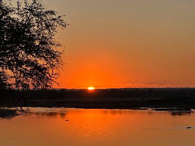 Beyond the Rush: Cultivate Presence, Choose Gratitude, and Create Your Own Reality.