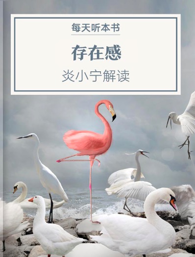 《存在感》| 4.11 episode artwork