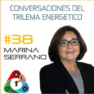 *038 - El Sector Eléctrico está que arde... [audio]