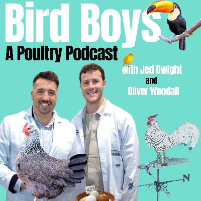 Weekend Round-up - Wimpole, Bird World, Newark & More! Weekend Round-up - Wimpole, Bird World, Newark & More!