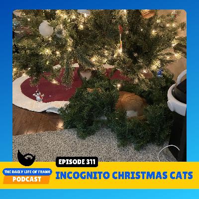 Episode 311: Incongito Christmas Cats Episode 311: Incongito Christmas Cats