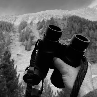 Le Brâme du cerf à la Tzoumaz : "A la découverte des beautés cachées du Vallon d'Arbi" Le Brâme du cerf à la Tzoumaz : "A la découverte des beautés cachées du Vallon d'Arbi"