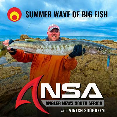 Summer Wave Of Big Fish - KZN REPORT (12 DECEMBER '25) Summer Wave Of Big Fish - KZN REPORT (12 DECEMBER '25)