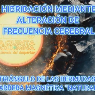CUADERNO DE BITÁCORA - PROGRAMA 13 -