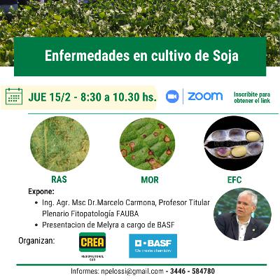 Enfermedades en el cultivo de Soja
