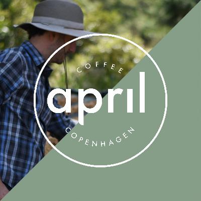 Updates from Volcan Azul with Farmer Alejo Castro | Coffee with April - YouTube Content