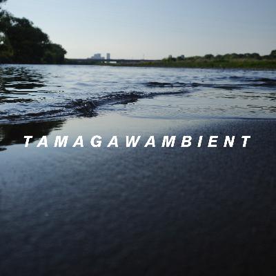 【環境音】大雨のあと、浜辺のようになっていた多摩川の音