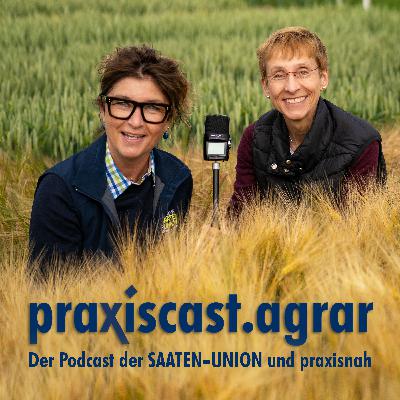 Nicht nur Stickstoff macht Ertrag! Talk-Gast: Dr. Kerstin, Berlin YARA