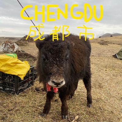 8 - J'ai fait un trek à cheval dans l'Himalaya