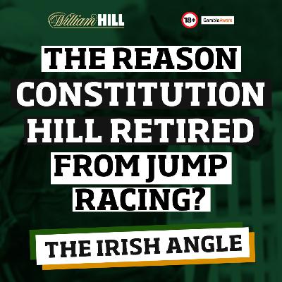 No Constitution Hill At Cheltenham - Reaction | The Irish Angle No Constitution Hill At Cheltenham - Reaction | The Irish Angle