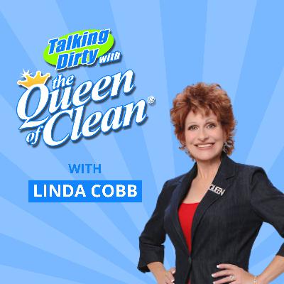 Miracle uses for Bar Keepers Friend and Fels Naptha Bar Soap