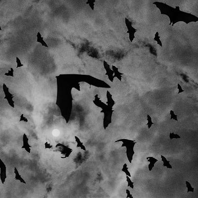 Sesión 49 de Vampiros & Máquinas