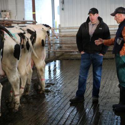 Beyond the Farm Gate:Understanding Dairy Veterinary Medicine Beyond the Farm Gate:Understanding Dairy Veterinary Medicine