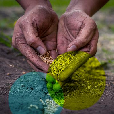 Bedrängt, beraubt, bedroht – Indigene Völker unter Druck