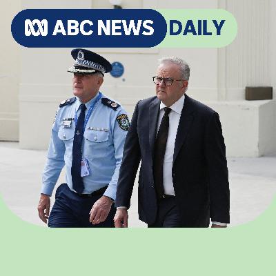 Albanese’s 'wicked' antisemitism problem