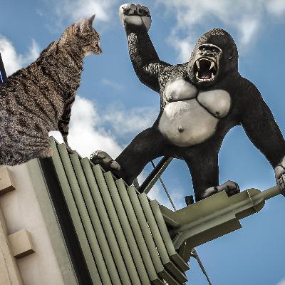 SPECIAL: LOVABLE KING KONG and KITTY ANNIE VISIT BUCKY! SPECIAL: LOVABLE KING KONG and KITTY ANNIE VISIT BUCKY!