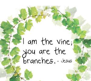 John 15 - Jesus is the vine, we are the branches