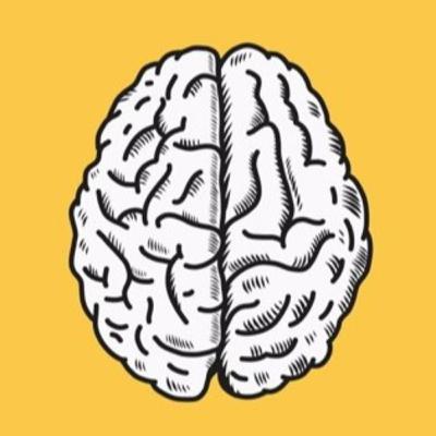 ¿Por qué el cerebro humano se desarrollo más que ningún otro?