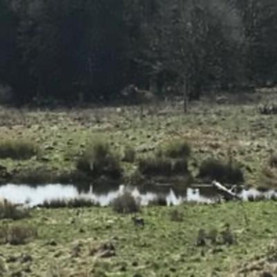 Connect With Your Guides - Part 2