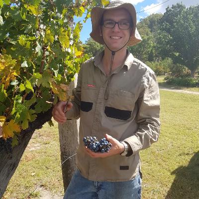 Brad Allan - View Wine, Stanthorpe QLD
