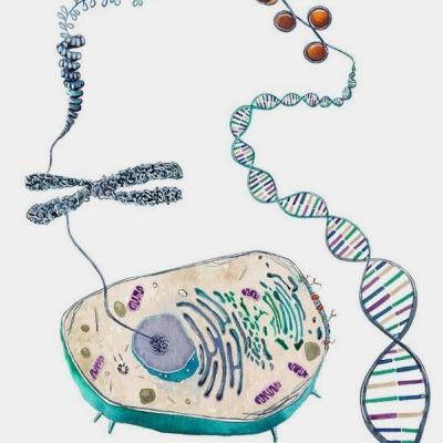 Biología🐍🌾