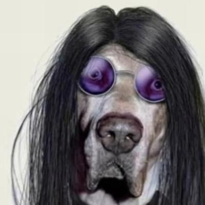 Animal Law Discovery brings reference to the legal status of animals. Animal Law Discovery brings reference to the legal status of animals.