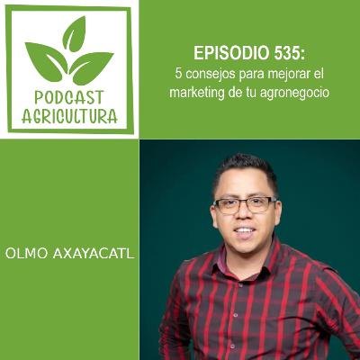 536 5 consejos para mejorar el marketing de tu agronegocio