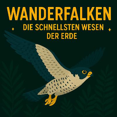 Wanderfalken – Die schnellsten Wesen der Erde Wanderfalken – Die schnellsten Wesen der Erde