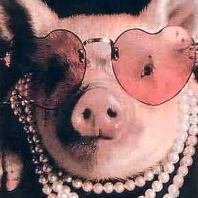 Pig in a Poke Pig in a Poke