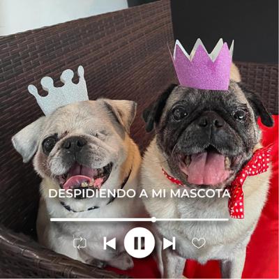 Despidiendo a mi mascota - Invitada Emma Vidal