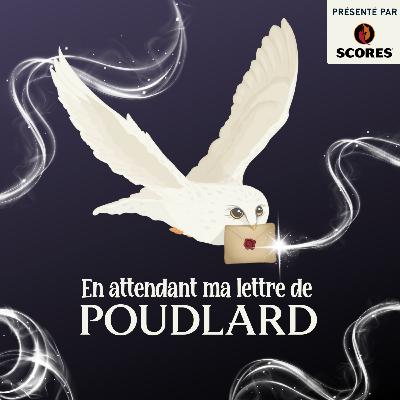 Le système de justice dans Harry Potter (avec les avocats Shana Chaffai-Parent et François Houle)