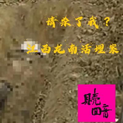 EP31.请杀了我-江西龙南活埋案