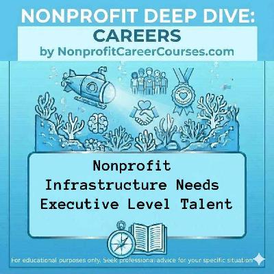 Nonprofit Infrastructure Needs Executive Level Talent Nonprofit Infrastructure Needs Executive Level Talent