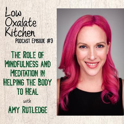 #3 The Role of Mindfulness and Meditation in Helping the Body to Heal - Amy Rutledge