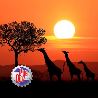 What is the official currency of South Africa?